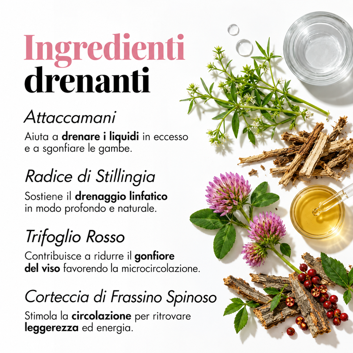 Drenaggio Linfatico Almevia — Gocce Naturali